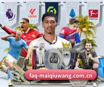 faq-maiqiuwang.com.cn APP